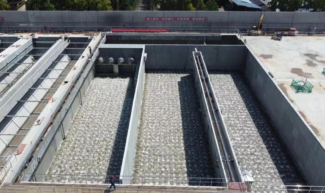 1694997770495203.jpg 1694997770495203.jpg